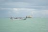 ctm amx fort boyard